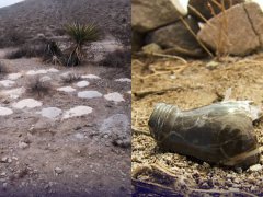 美荒野藏亡魂！315份遗骸重见天日 「弃骨灰」原因曝光