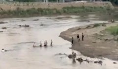 KK园区大崩逃!上千人“跳河出逃”画面疯传