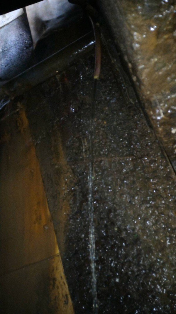 电镀工厂用一条橘色的水管，把没有任何处理的电镀废水，偷排入排水沟。（记者张瑞桢翻摄）