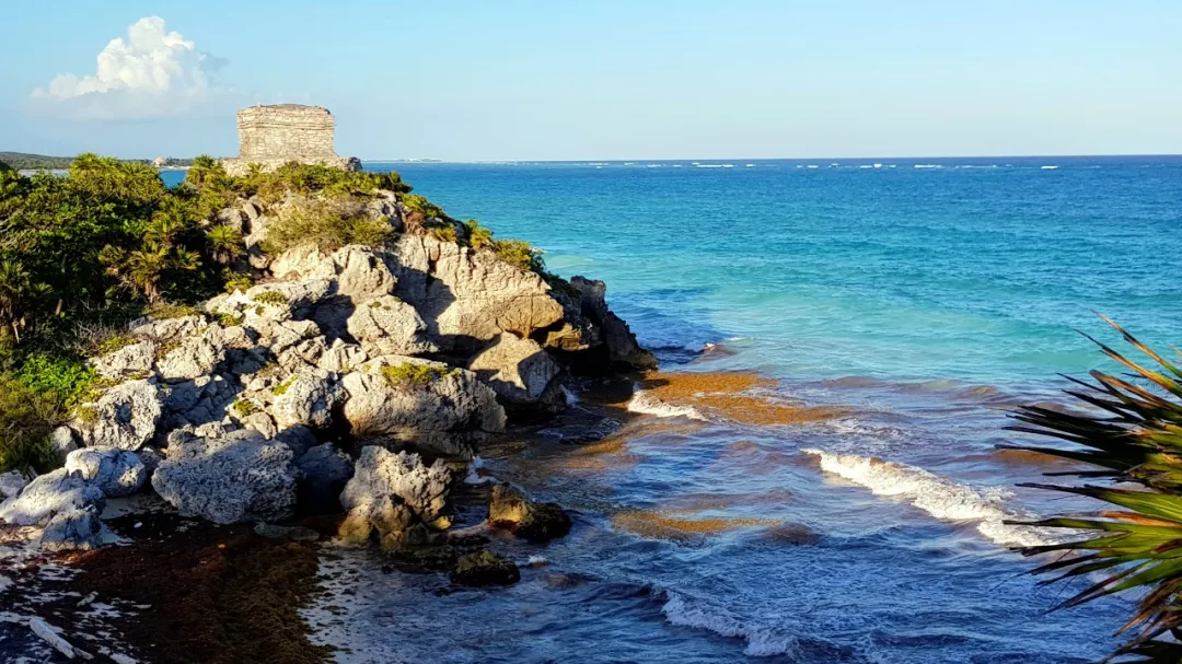 墨西哥坟头,挤满蹦迪的中国人 墨西哥坟头,挤满蹦迪的中国人