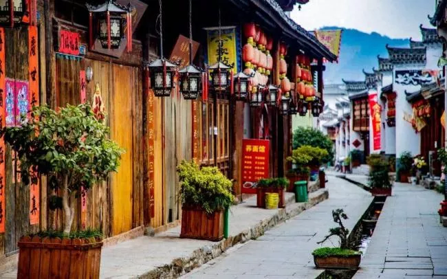 8年烧光50个亿!中国又一行业批量倒闭