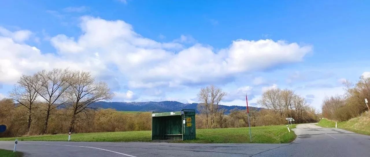 沉迷于房产和铁饭碗的“长远眼光”，只不过是短期经验