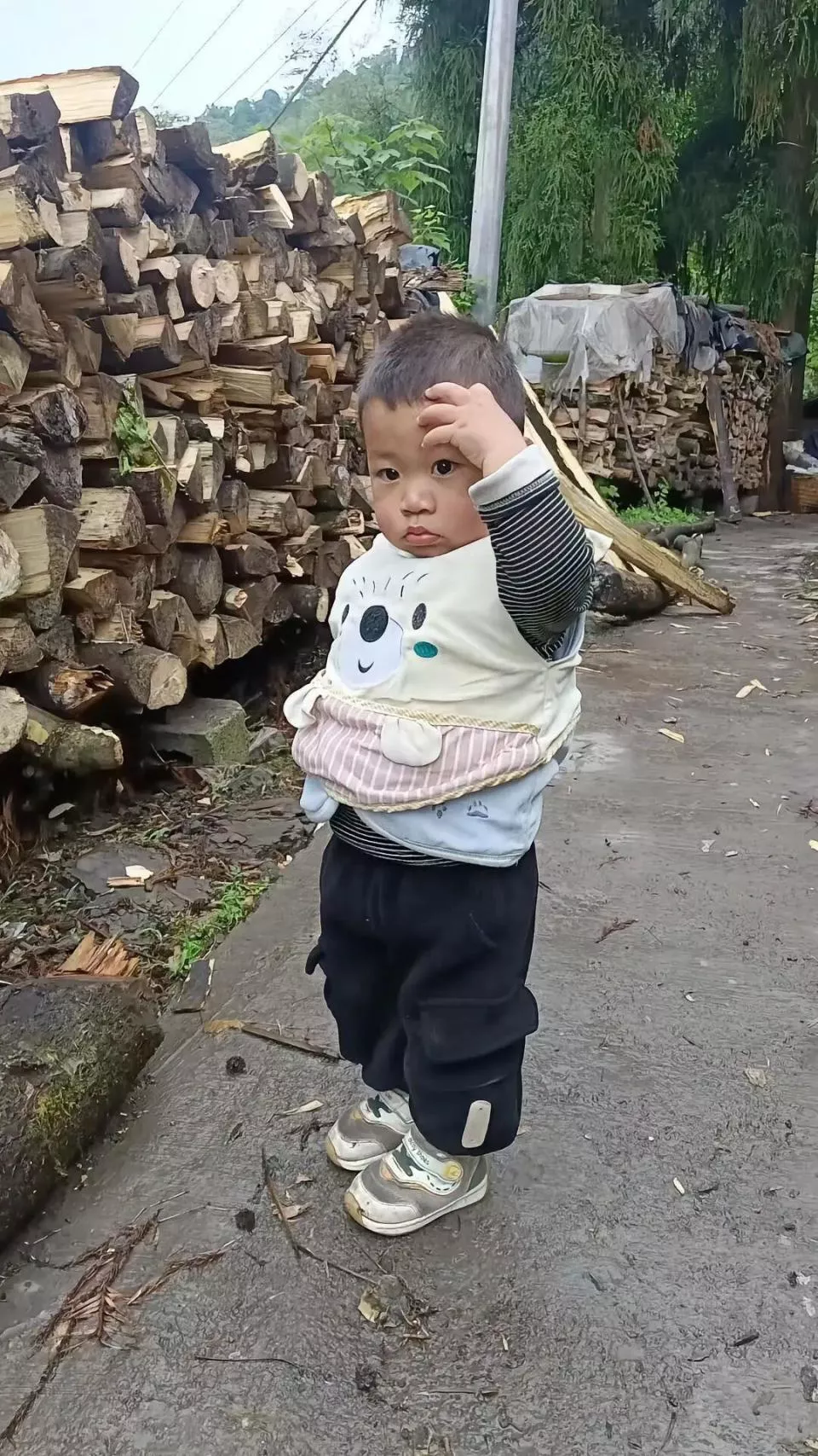 四川叙永2岁男童失踪近两月,母亲:悬赏10万真实有效
