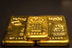 自家后院竟藏大秘宝！法国男挖泳池发现黄金 爽赚2500万