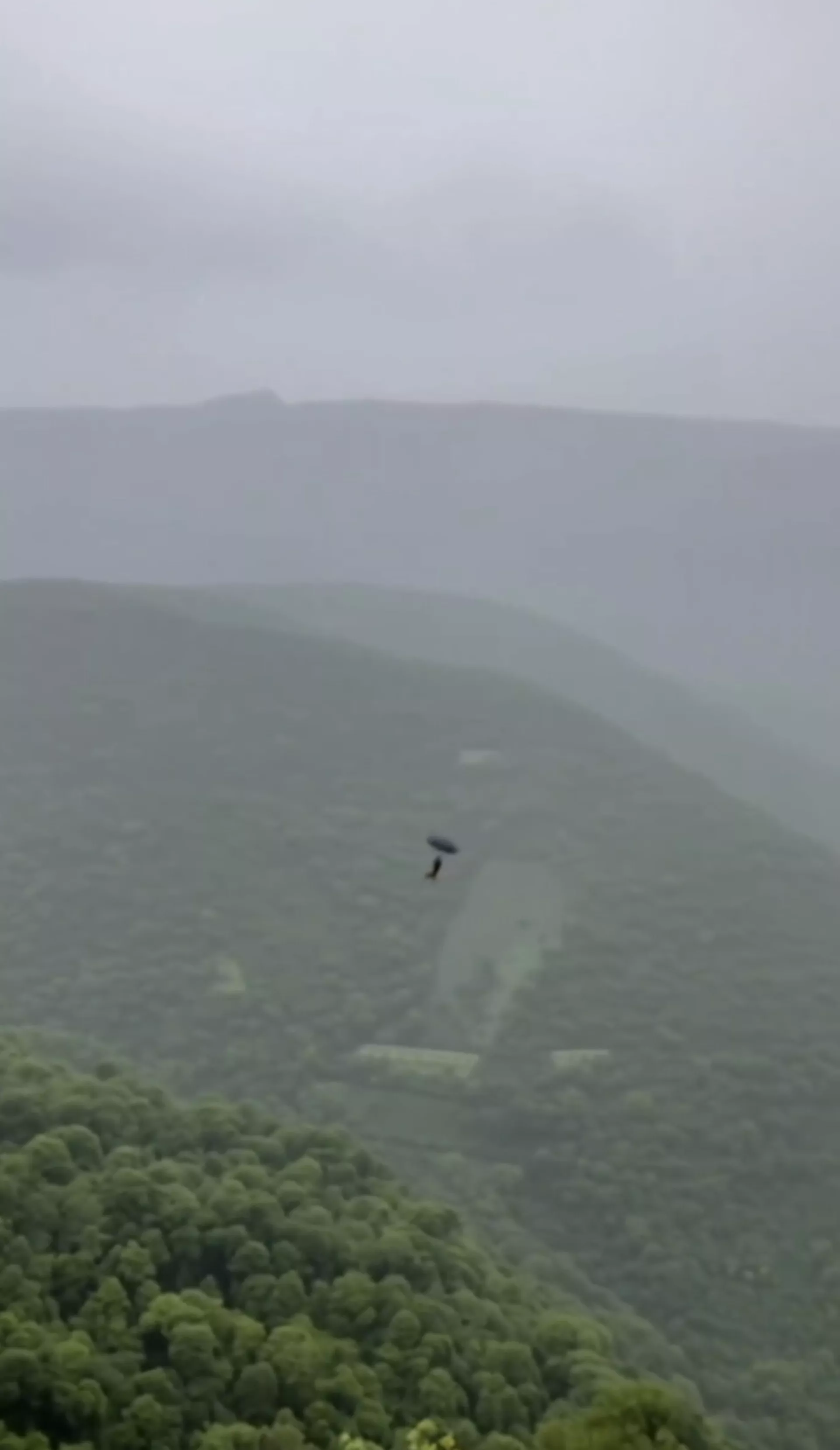 两个AI模型认为视频是AI生成或经过后制，Gemini认为“猴子持伞飞落”画面出现了不合理的物理现象。（视频截图）