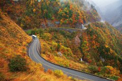 高龄驾驶酿祸？日本车辆冲破围栏坠崖 8旬夫妇双亡