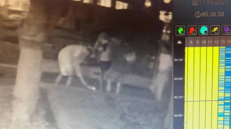 一群年轻人昨在新北林口一间社区后门疑吸毒，结果忘记带走相关物品，被社区清洁员发现报警。（新北市议员陈明义提供）