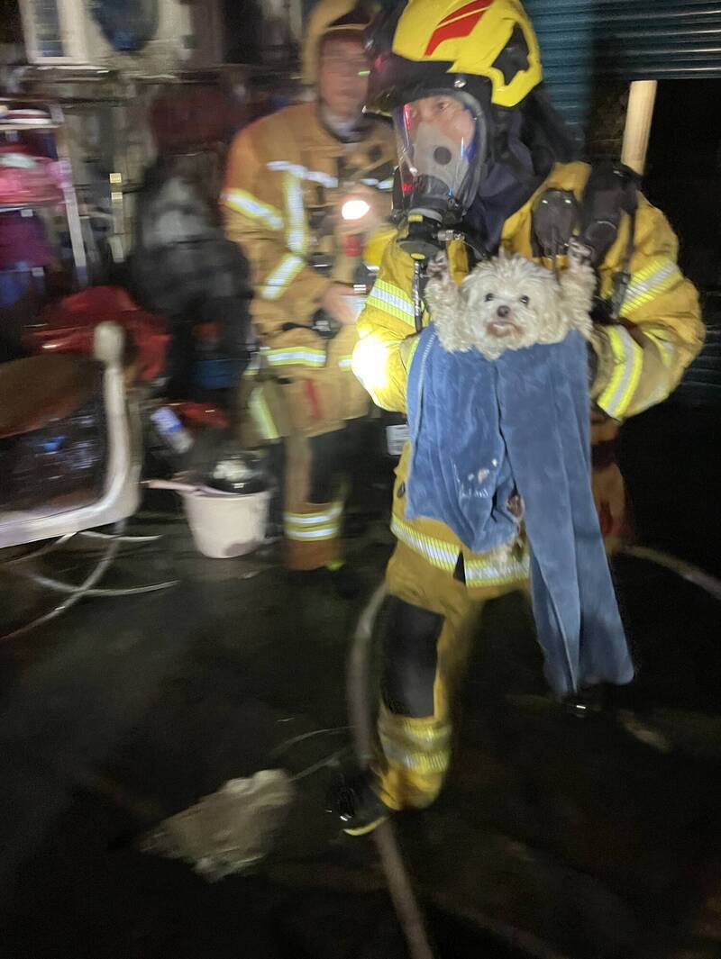 消防队救出宠物狗。（读者提供）