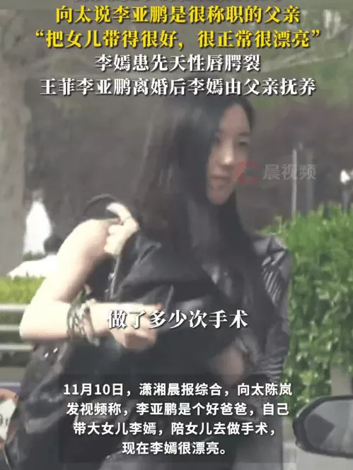 向太说李亚鹏是个好爸爸:他自己带大女儿李嫣还陪她做手术