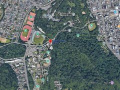 不明棕熊闯入札幌圆山动物园 监视器2度拍到身影