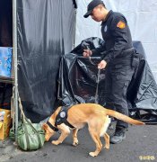 桃市警犬队成立近1年仍无犬舍 议员促检讨经费、加速兴建