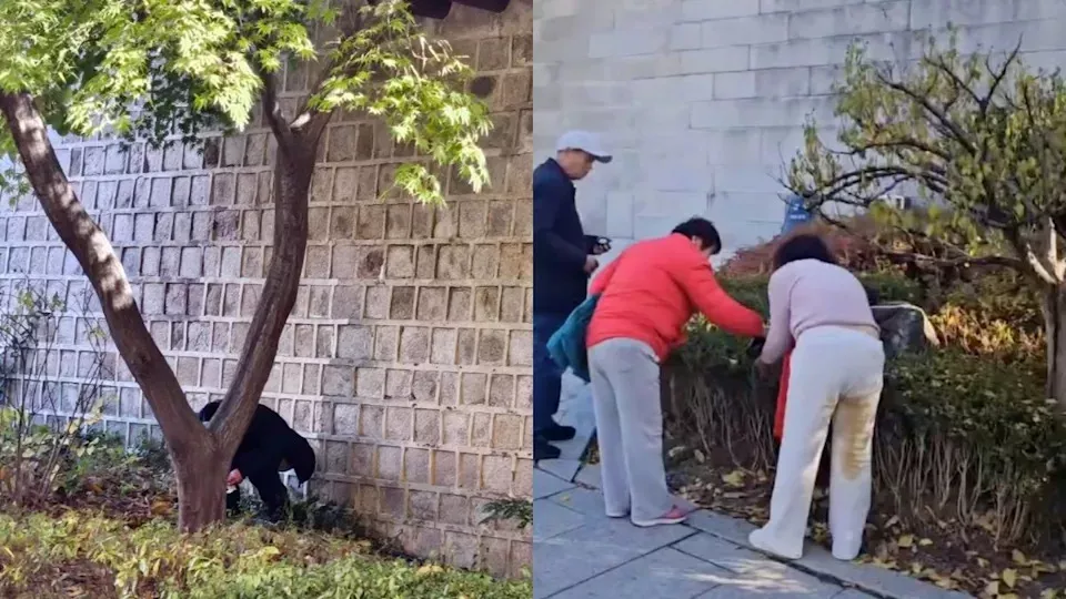 中国游客在著名景点当众脱裤大便?网络又炸锅了