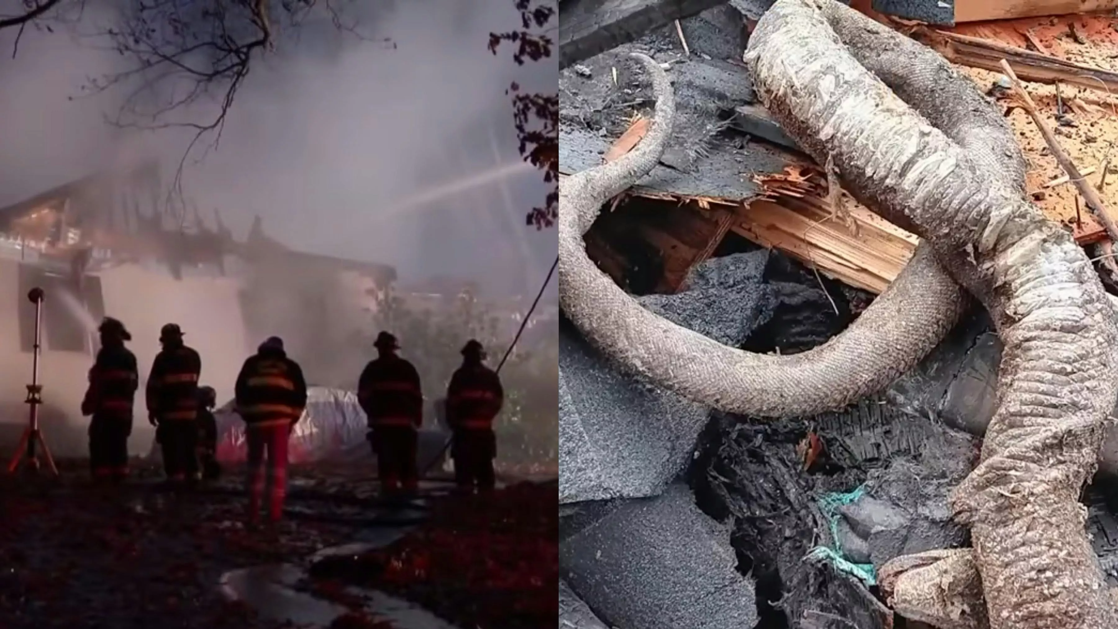 美国屋主与60宠物葬身火海 巨大蟒蛇烧成“蛇干”