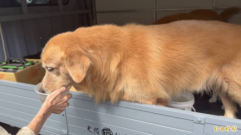 幸存者努力补充水分。（记者刘人玮摄）