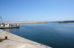 日本青森惊见熊只在海里游泳! 猎人搭渔船前往射杀