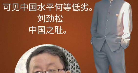 “如此不懂礼貌的外交官员，可知中国的水准”