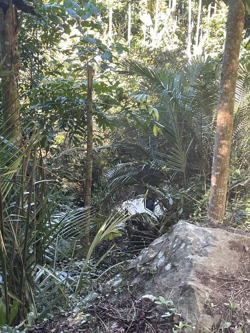 小货车坠谷处，上方都是树林遮蔽。（民众提供）
