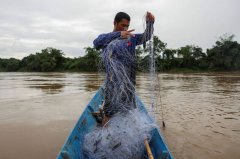 东南亚非法矿场泛滥 研究:致命化学物质污染河川危害深远