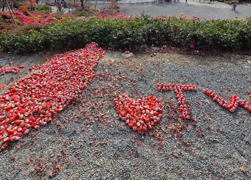 上月底（11月30日）胜尾寺一处排著台湾图文的达摩阵，遭到1名疑似中国籍女子恶意破破坏，今（1）日传出已有其他参拜的台湾游客将其修复。（照片由Threads网友「wuhsuehlin」授权提供）
