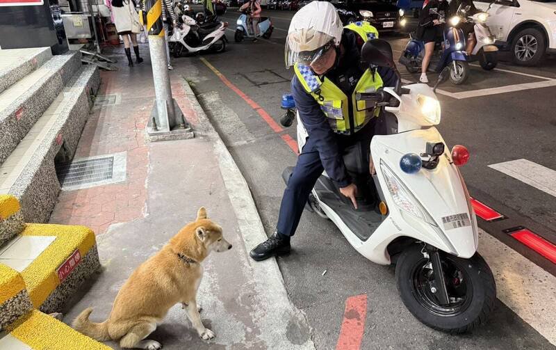 迷途柴犬跳上机车踏板让员警载回派出所，最后平安回到主人身边。（图由嘉市警方提供）