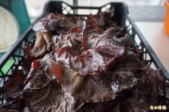 中国黑木耳农药超标63倍!南韩下令紧急回收