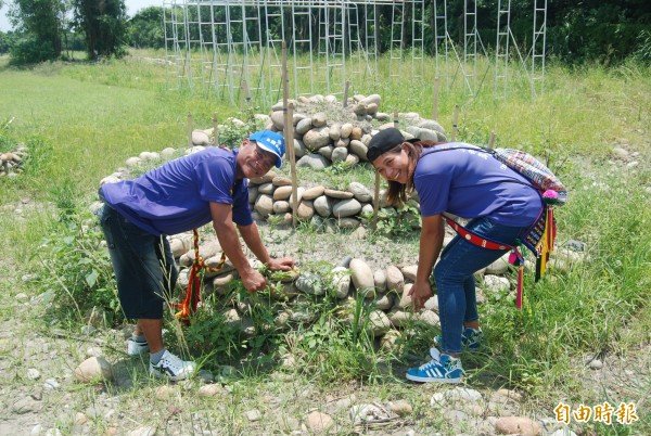 三莺部落新家园设有农耕园区，可让族人在此享受原乡的农作乐趣。（记者张安荞摄）