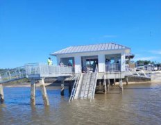 码头舷梯惊塌！美国乔治亚州20多人落水 已知7死