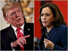 「国会山庄报」预测模型  川普胜选机率首次超越贺锦丽