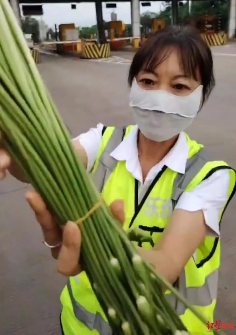 拉韭菜花过收费站被收通行费引发争吵质疑,高速路公司