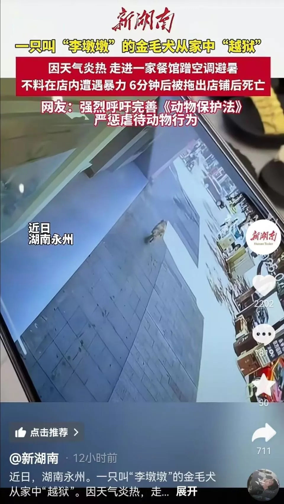 金毛犬在餐馆蹭空调避暑遭殴打致死?当地警方已介入