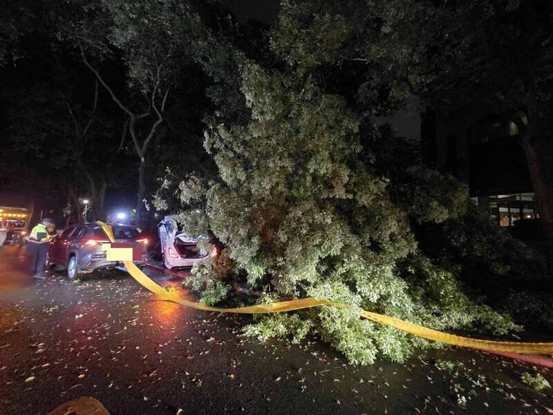 北市信义区发生死亡车祸,一辆宾士轿车冲撞人行道路树,一名多元计程车司机倒卧草丛伤重送医不治,警方封锁现场采证。(记者邱俊福翻摄) 北市信义区发生死亡车祸,一辆宾士轿车冲撞人行道路树,一名多元计程车司机倒卧草丛伤重送医不治,警方封锁现场采证。(记者邱俊福翻摄)