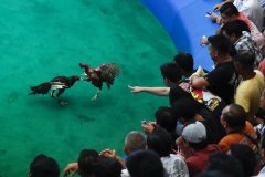 抛尸湖中！菲15警涉嫌杀害超34人 只因他们被怀疑....