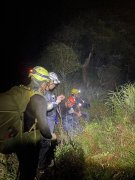 到屏东雾台访友 5人误食山上植物产生幻觉