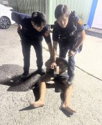 台中小兄妹枪口逃劫！泳池枪手案拖2个月才曝光 民代批卢市府粉饰太平