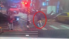 北市信义区民众倒垃圾嗅到尸臭 女子将13只猫尸丢垃圾车