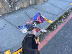 合欢山武岭公路放烟火 太管处开单最高可罚3000元