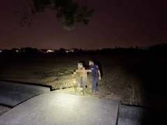 96岁翁离奇走进公墓迷航 警急寻救回