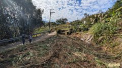 独家》三峡大峡谷环保蟑螂案 插角里长刘添财、2业者收押