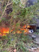 苑里杂草火警  掀背车遭火舌吞没