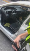 酒测临检遭钻车翻找 网友控警过度执法 警方回应了