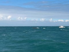 渔船未开警报拖网！勾断三芝海缆致通讯中断 检依电管法起诉