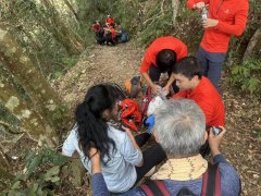 不到3周第3起！马仑山又见登山客遭虎头蜂螫咬 消防急救援