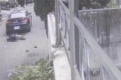 台中BMW无照毒驾夺命案开庭 18岁嫌否认杀人辩「看监视器才知撞到人」