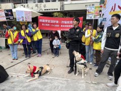 警犬耶诞装抢眼 化身小助手宣传防诈