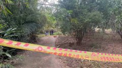 花莲女陈尸玉里公墓「颈部勒痕、臀部轮胎痕」 男友涉虐杀弃尸