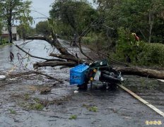 彰化孝子邮差遇倒塌路树夺命 公路局拒国赔法院打脸