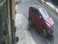 惊悚画面曝！女蹲路边逗狗遭休旅车辗入车底 爱犬当场身亡