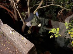 离奇！彰化大村女骑机车疑遭撞飞 倒栽掉大水沟卡树干命危