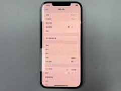通缉犯缺钱连犯5案 假买iPhone真抢夺花莲地院裁定收押