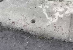 兄弟酒后斗殴案情反转 弟「弑兄」变自卫伤人？